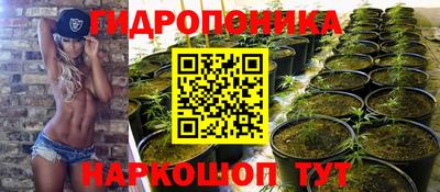 стафф Краснодар