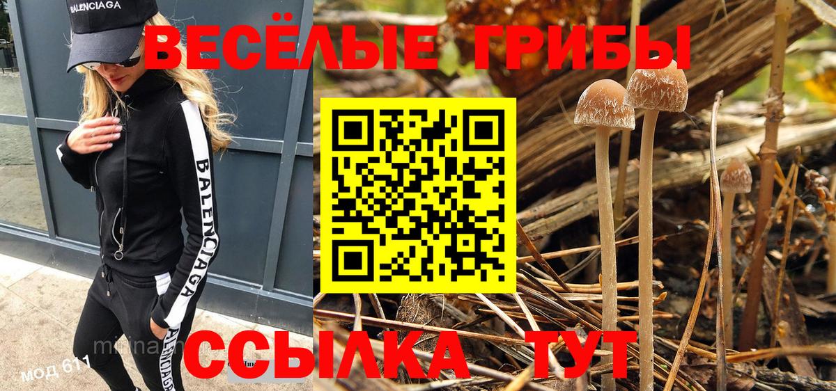 хочу   Галлюциногенные грибы MAGIC MUSHROOMS  Вход с VPN  Псилоцибиновые грибы Cubensis  Ипатово 